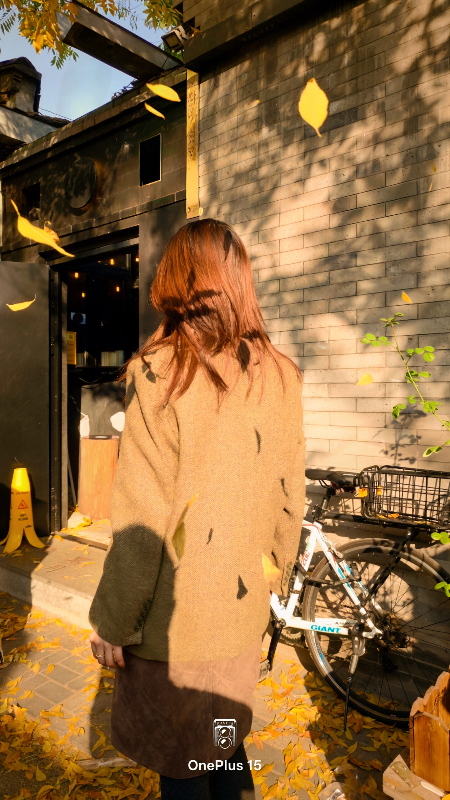 一加15体验:影摄北纬39度线的城市之秋-锋巢网