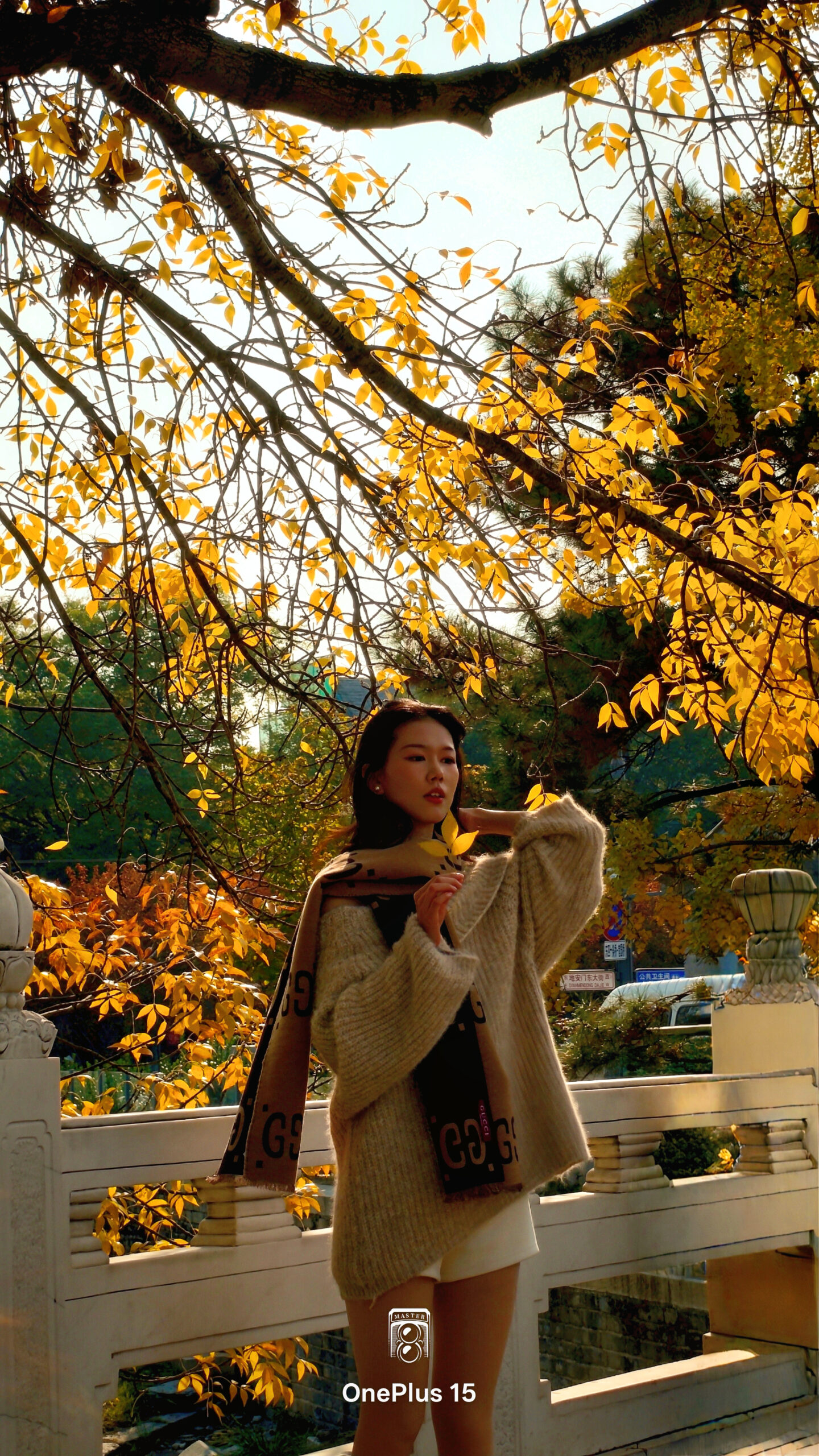 一加15体验:影摄北纬39度线的城市之秋-锋巢网