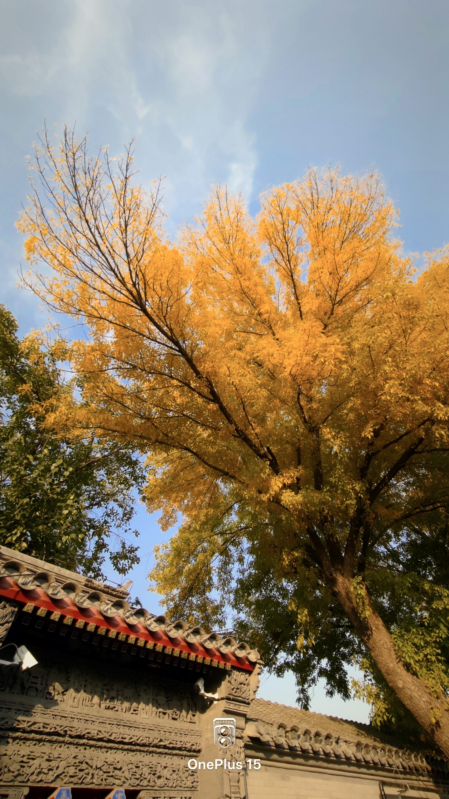 一加15体验:影摄北纬39度线的城市之秋-锋巢网