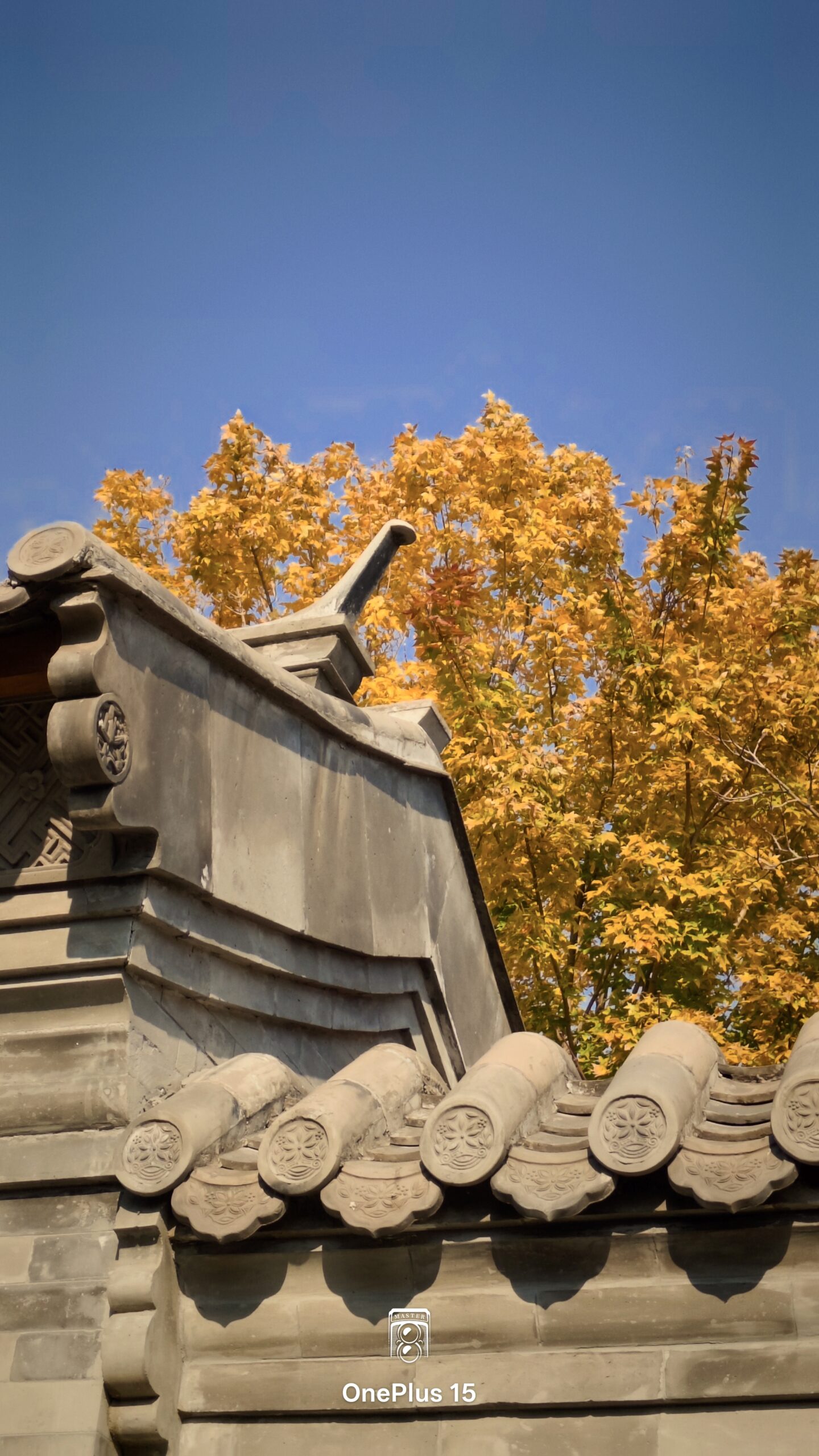 一加15体验:影摄北纬39度线的城市之秋-锋巢网