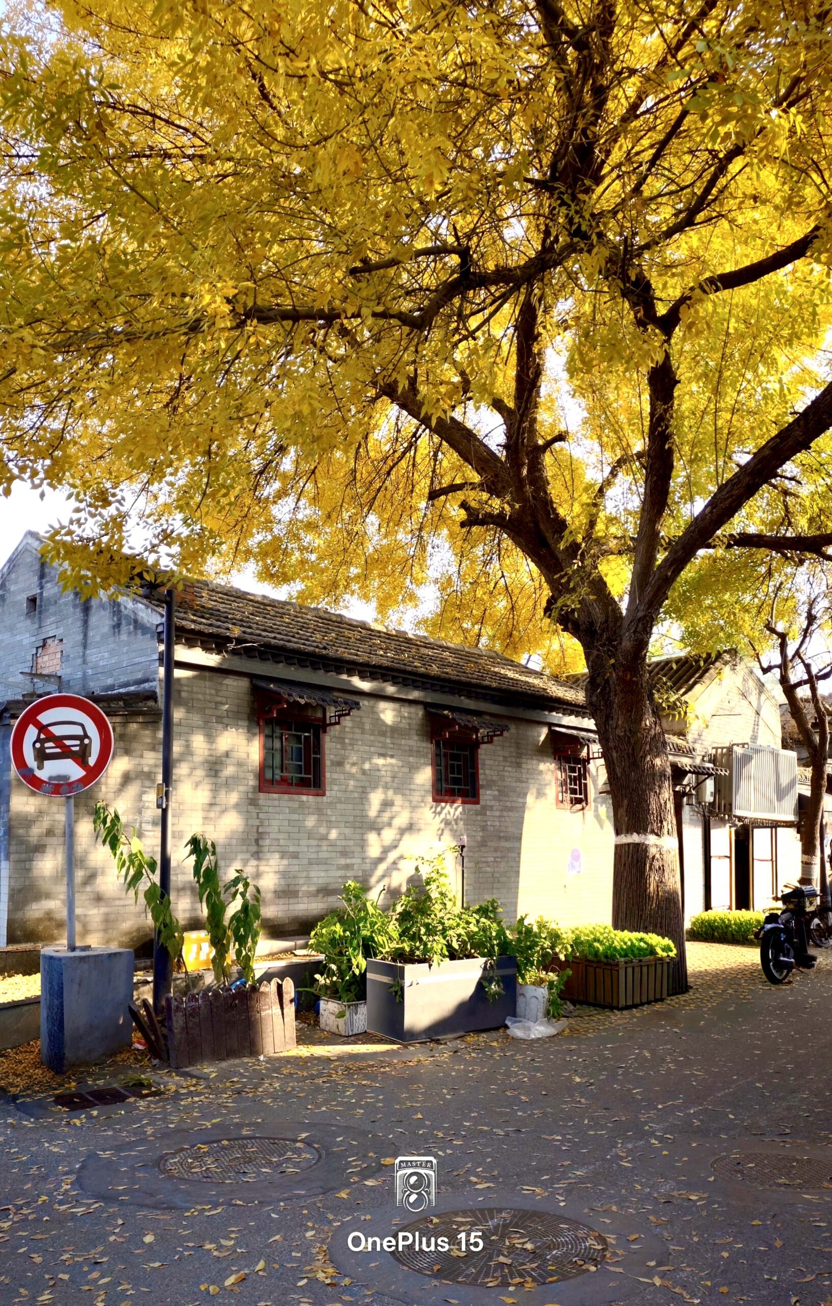 一加15体验:影摄北纬39度线的城市之秋-锋巢网