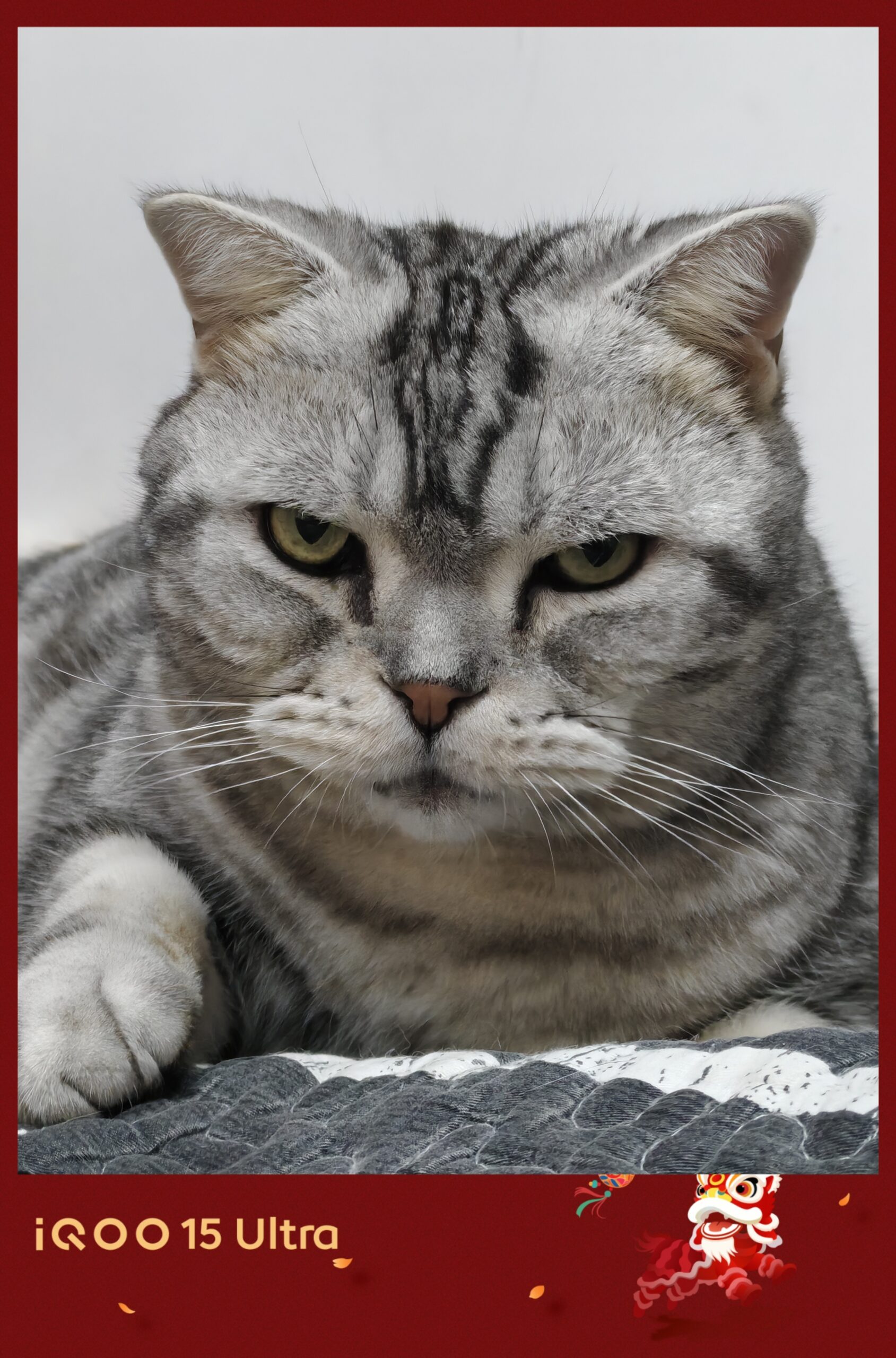 iQOO 15 Ultra体验：性能王者傲然登顶，iQOO 15 Ultra来了！-锋巢网