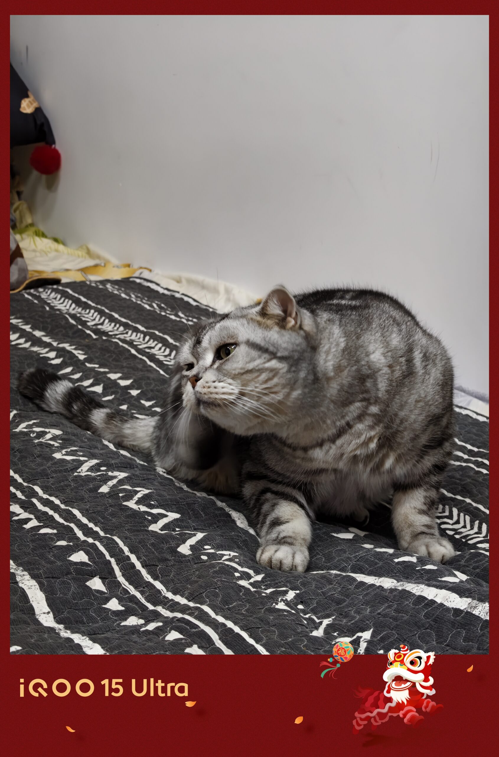 iQOO 15 Ultra体验：性能王者傲然登顶，iQOO 15 Ultra来了！-锋巢网